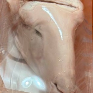 کله پاچه تازه پخش گوشت میثم